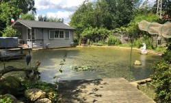 Fischteich Glaserei Richter Referenz