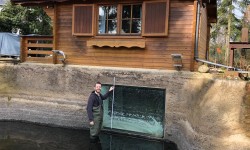 Panzerglas Fischteich