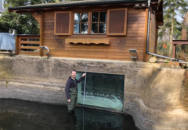 Panzerglas Fischteich